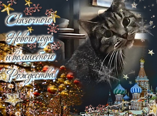 Кусенька поздравляет всех вас с Новым Годом и Рождеством! 🎄🙏✨