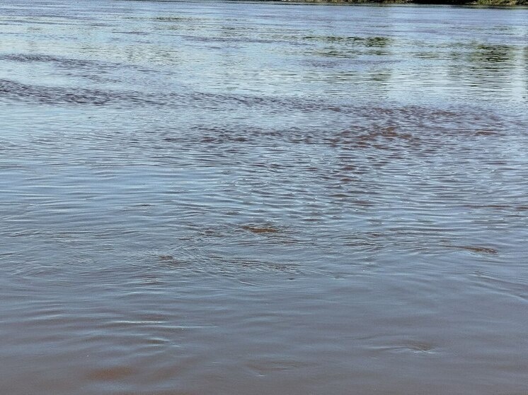    Фото: архив «МК в Калининграде».