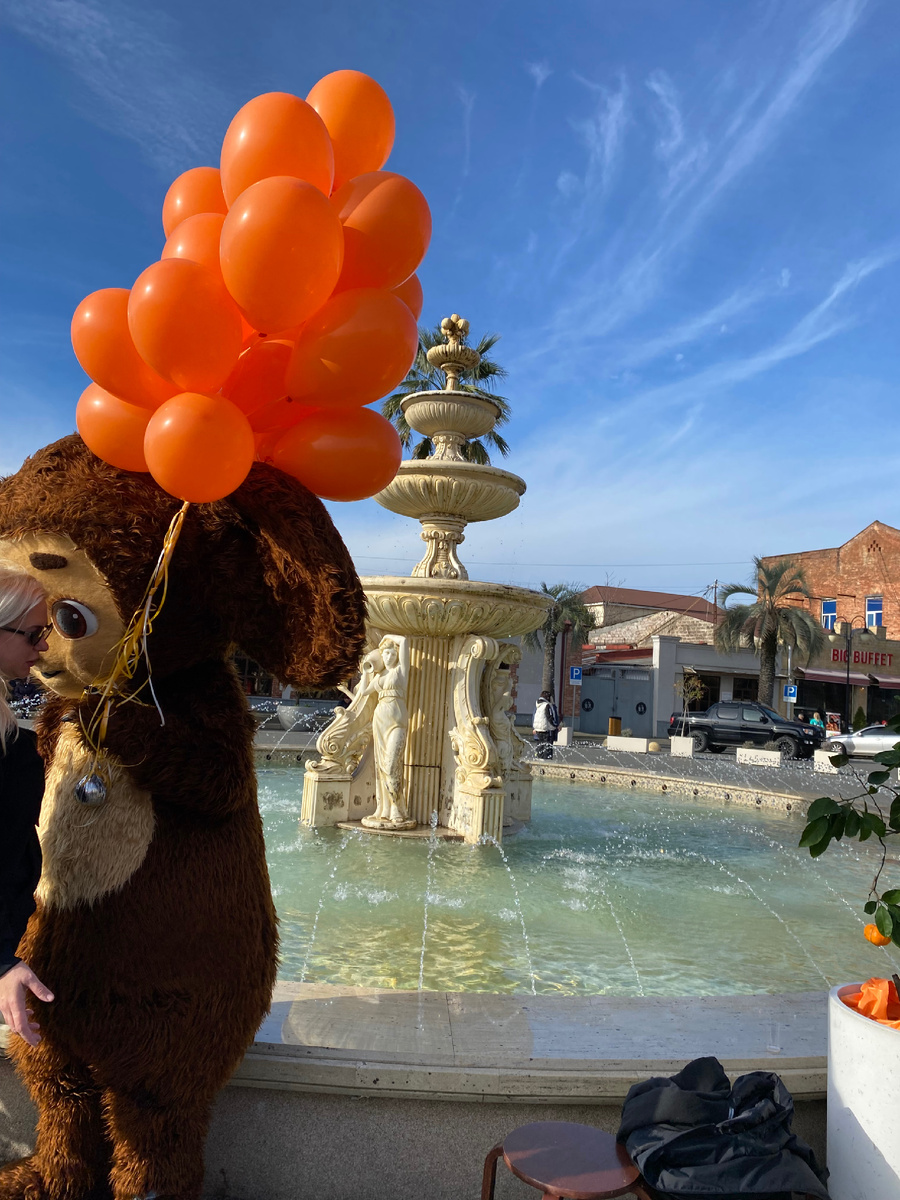 Мандариновый фестиваль 