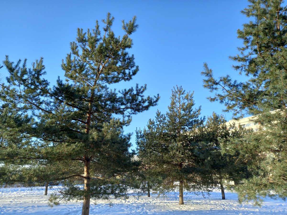 Это я из дома в пункт выдачи заказов выбежала)