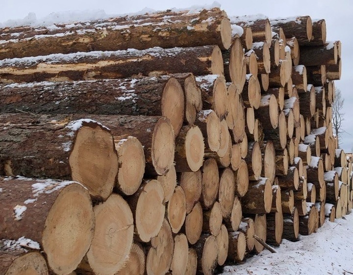    фото: © Правительство РК