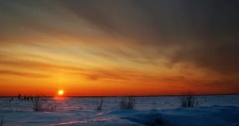 картинка из интернета.