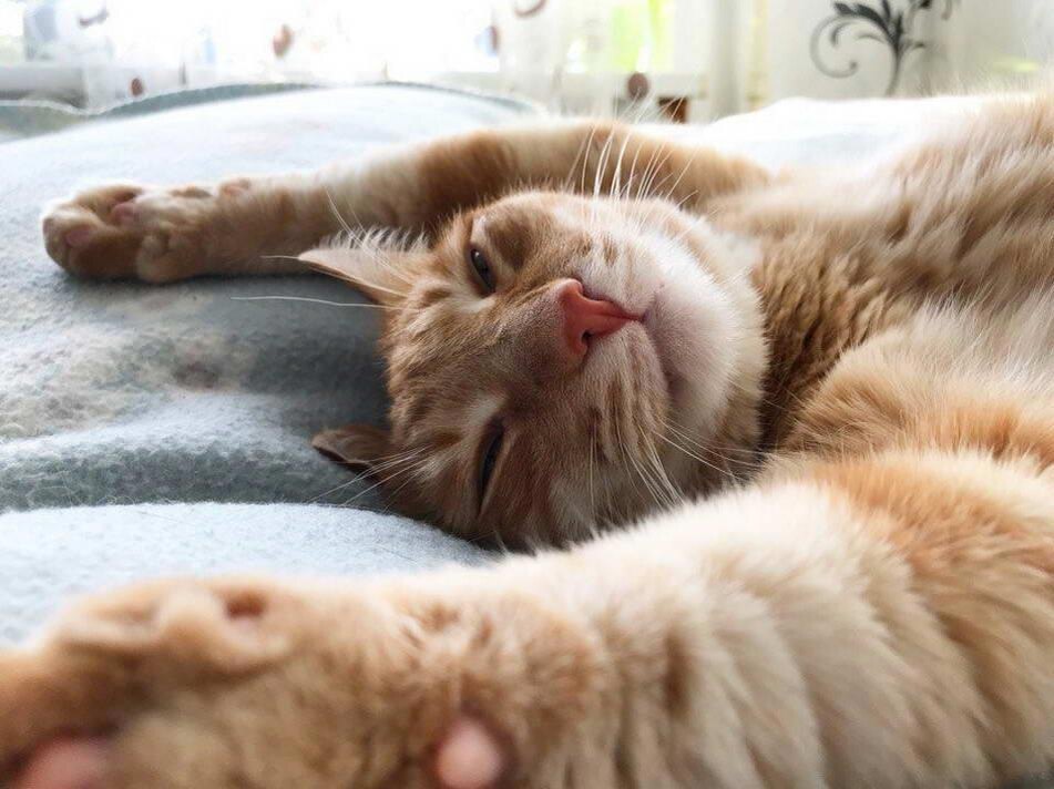 Доброе утро )