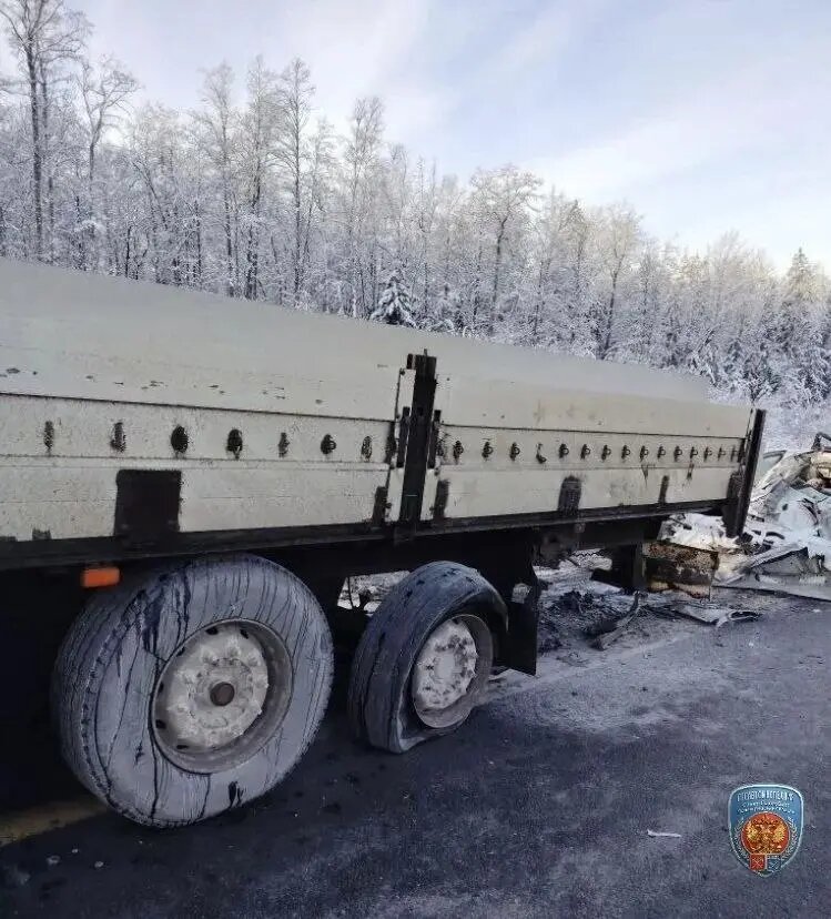    Фото: пресс-служба ГУ МВД России по Петербургу и Ленобласти