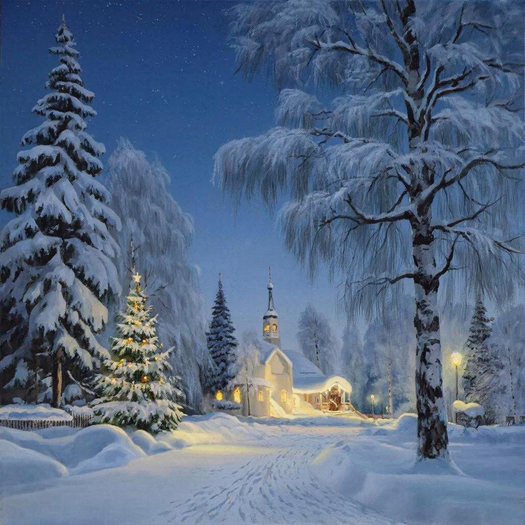 Фото из свободных источников интернета.