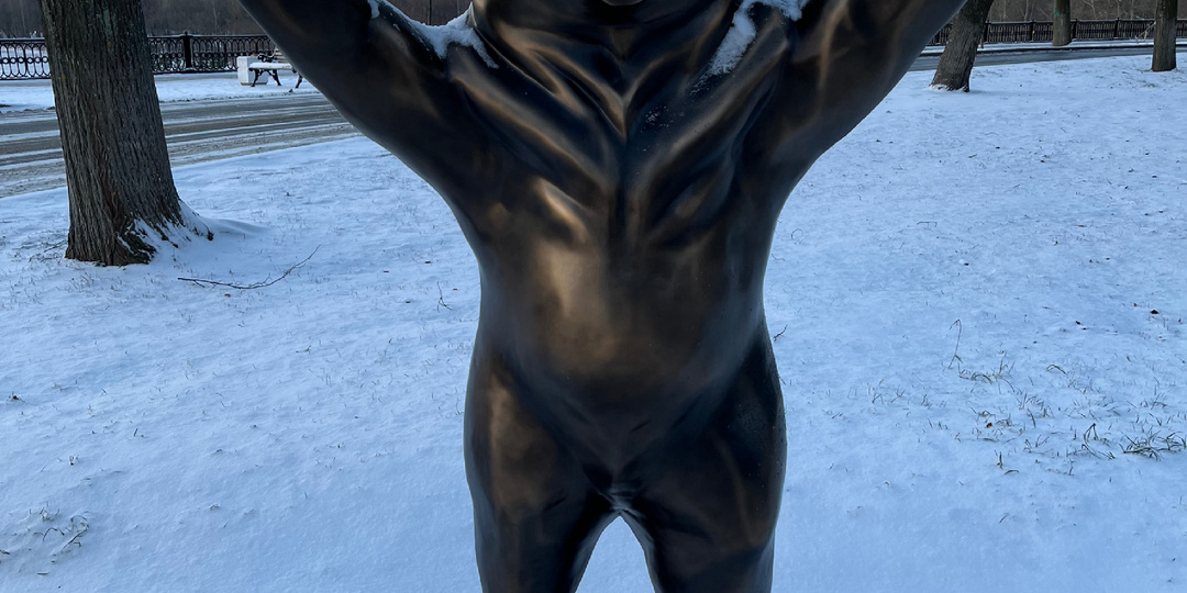 Медведи в Ярославле