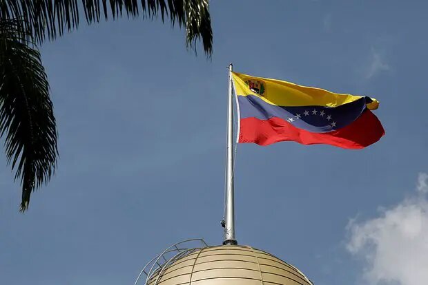    Фото: lenta.ru Полина Белоусова