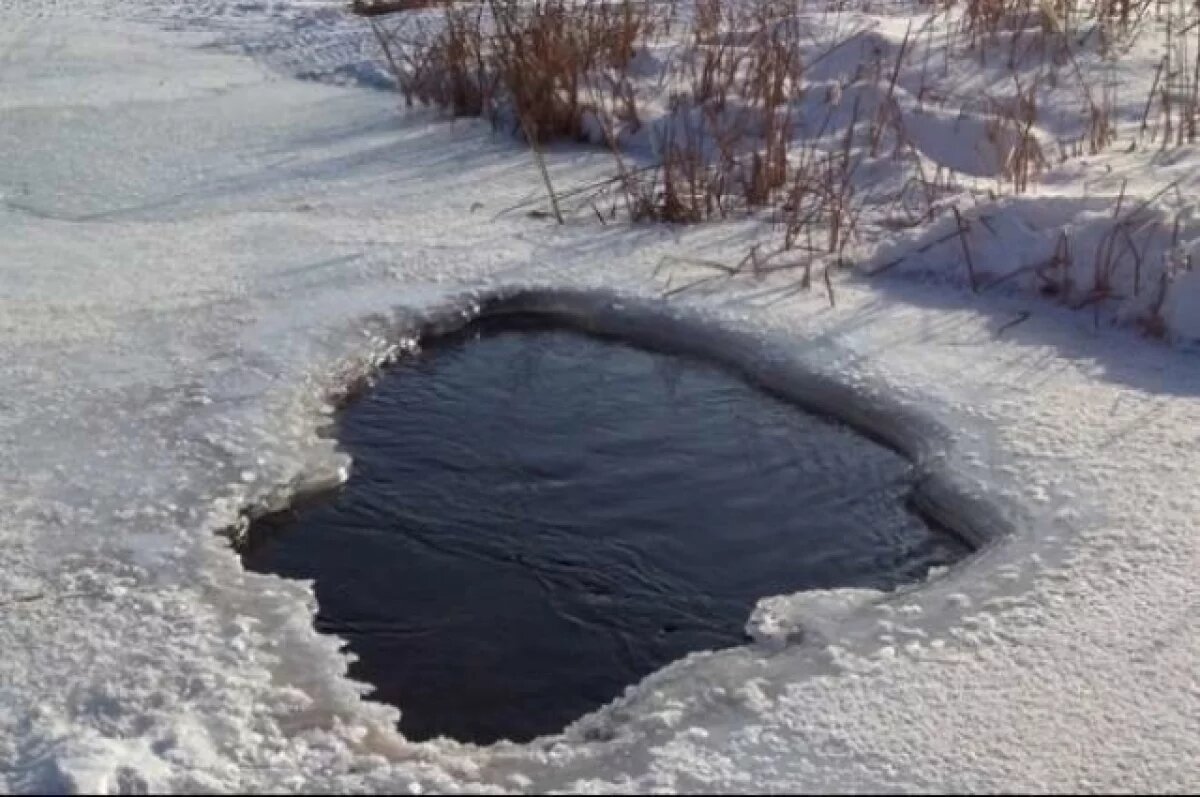    Жителям Тверской области рассказали, как спастись из полыньи