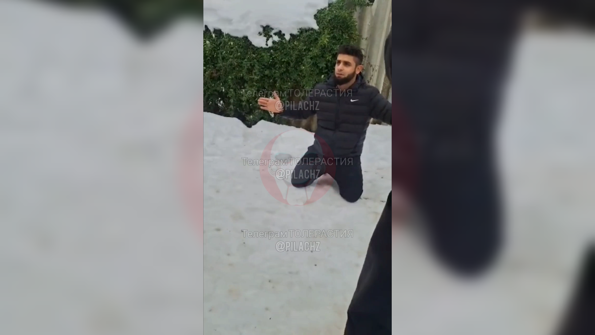 Автор: В. Панченко