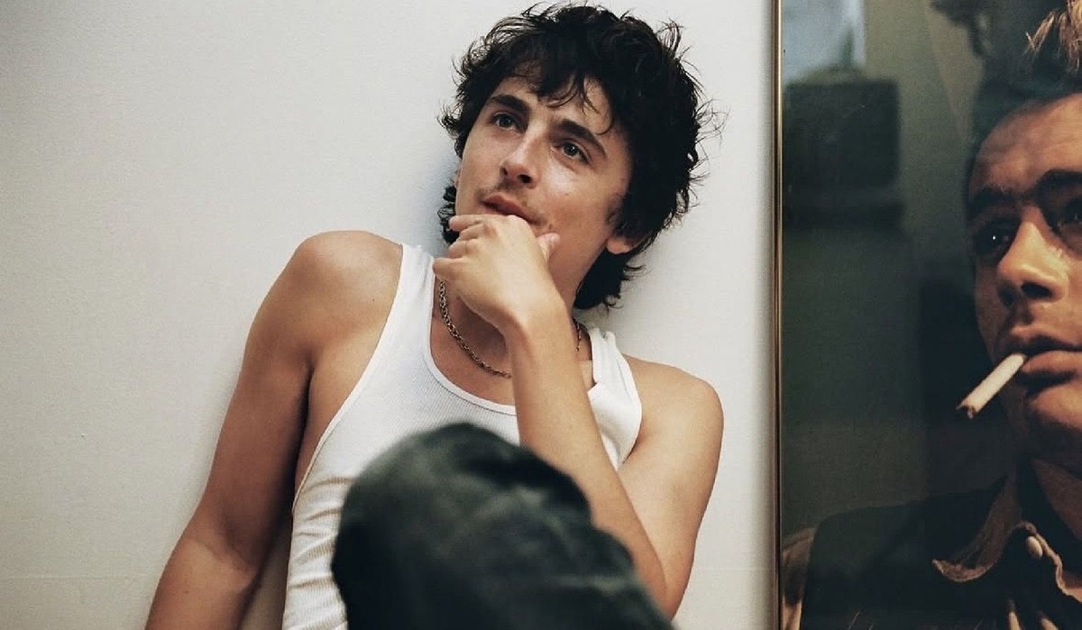    Тимоти Шаламе (Фото: Instagram* / @tchalamet)