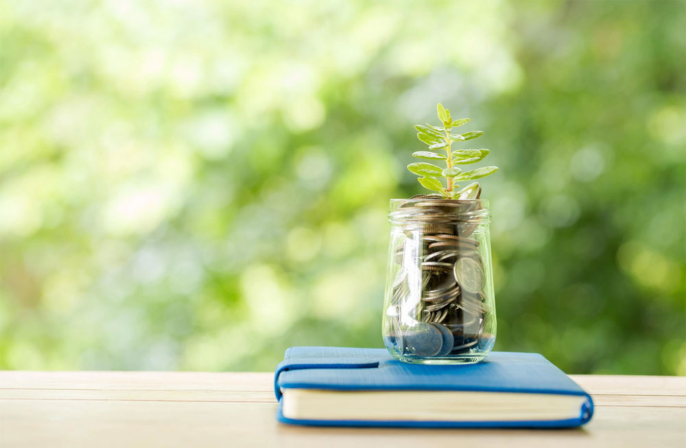     Фото: ru.freepik.com