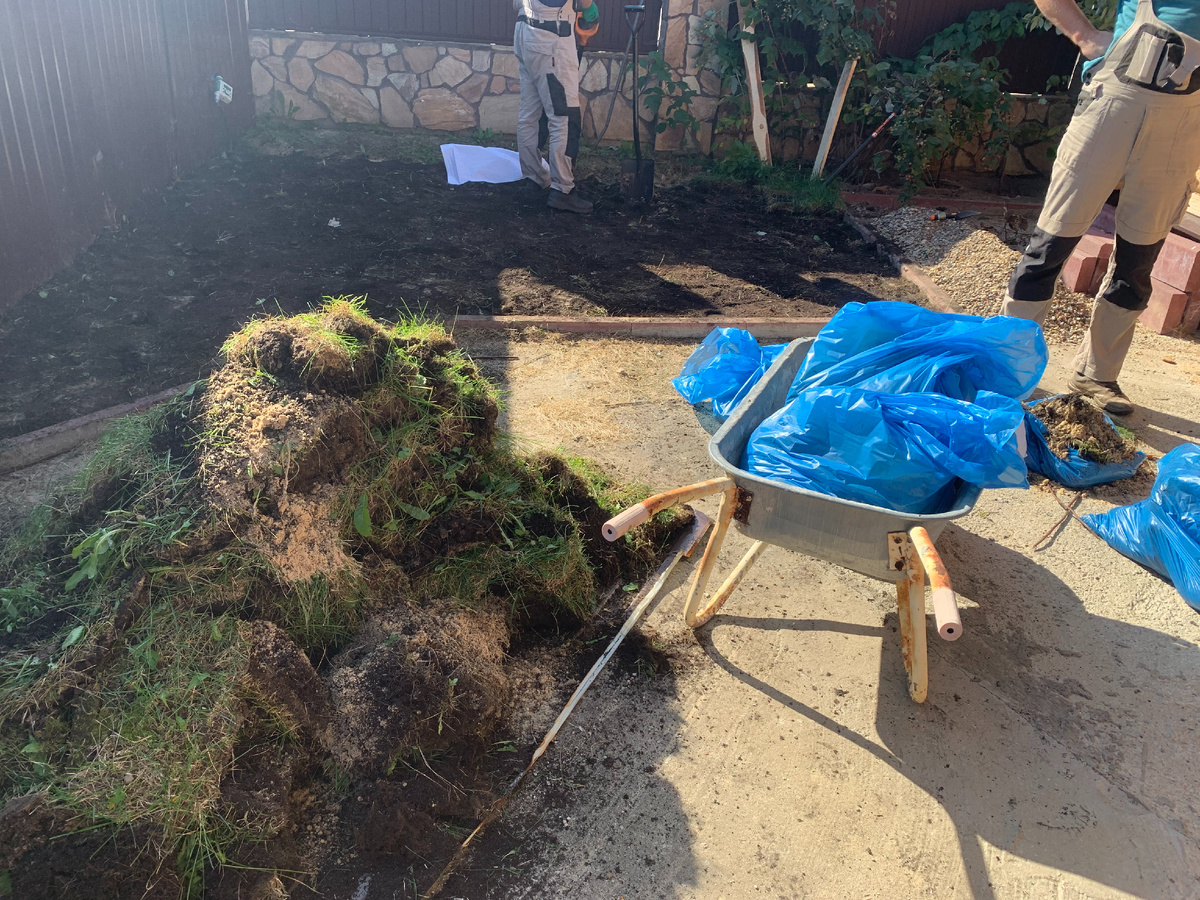 Справа заросли малины 