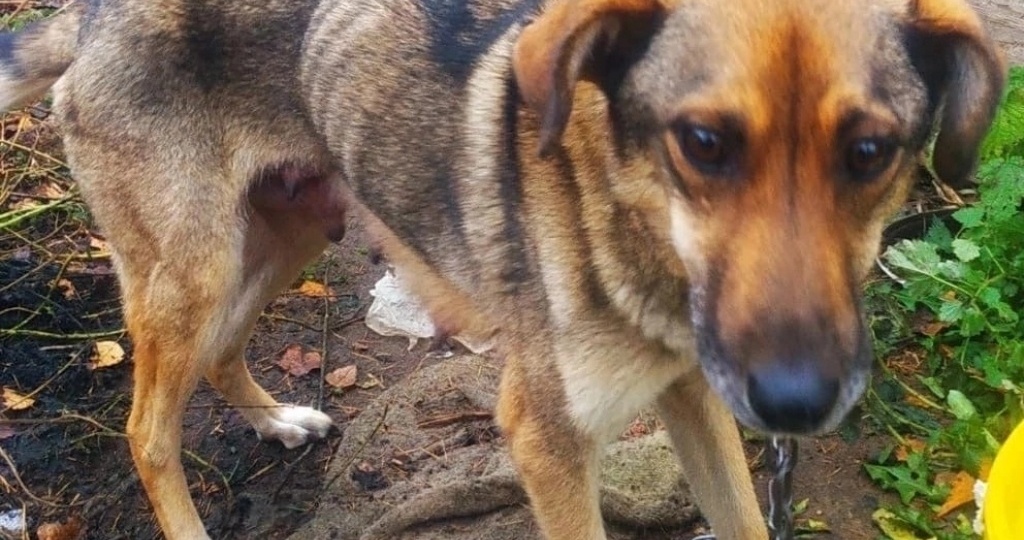 Балансируя на грани жизни и смерти…