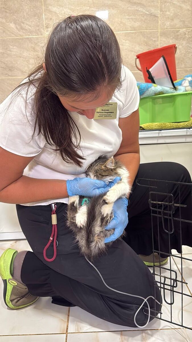 С Натальей Андреевной - прелестным доктором из Мира Животных (г. Воронеж, Олимпийский)