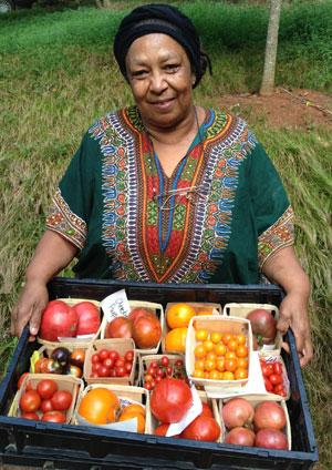 Наши коллеги по "6 соткам" в Перу