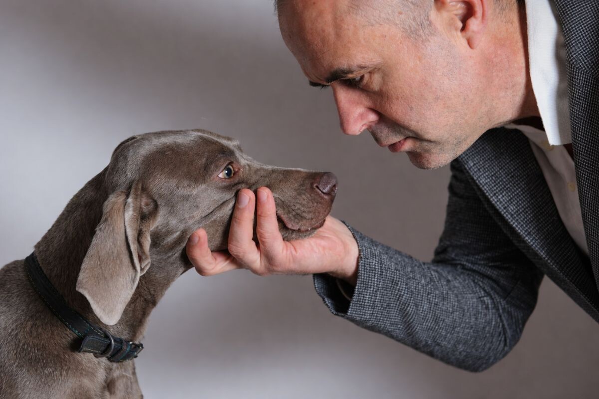 Человек смотрит в глаза собаке 