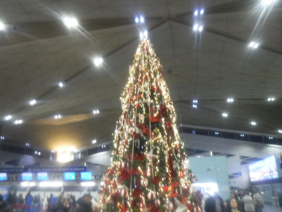 Новогодняя елка в Пулково 