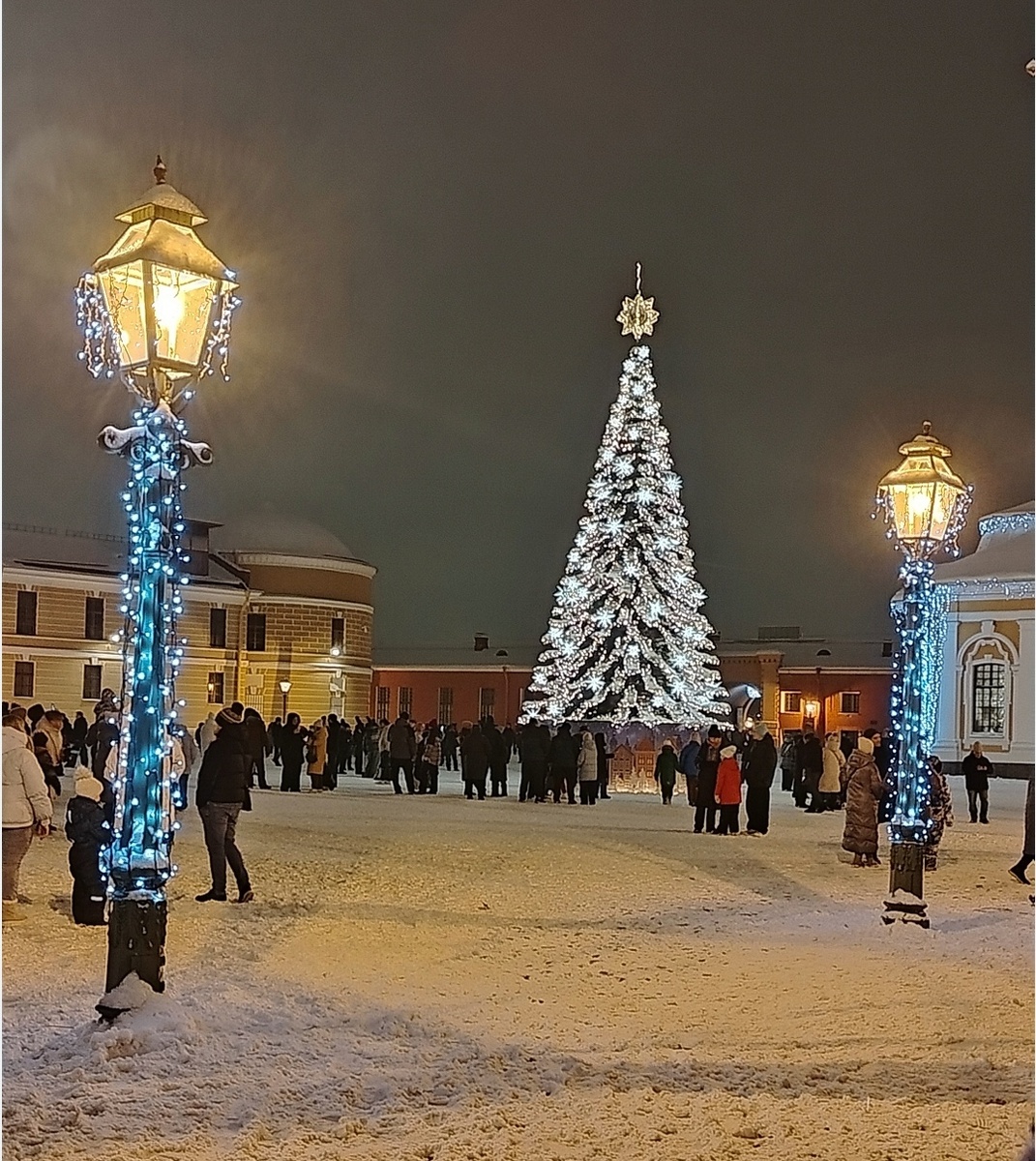 Ёлка перед Петропавловским собором