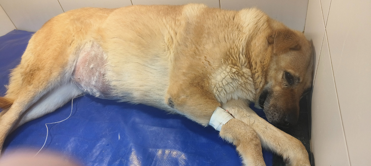 Было очень тяжело 