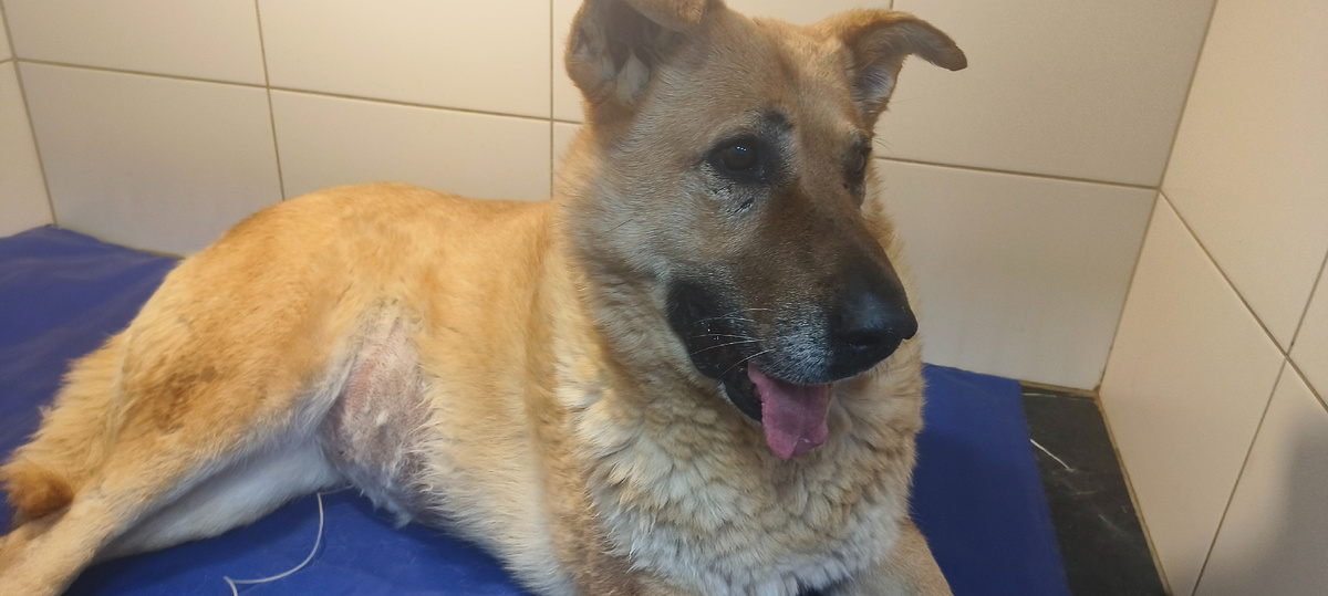 У меня будет всё хорошо!