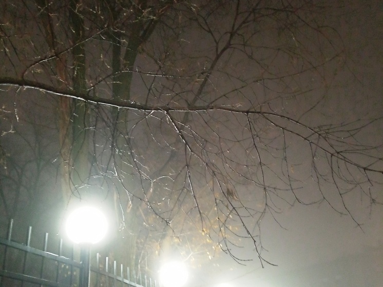     Фото: Вячеслав Коротин