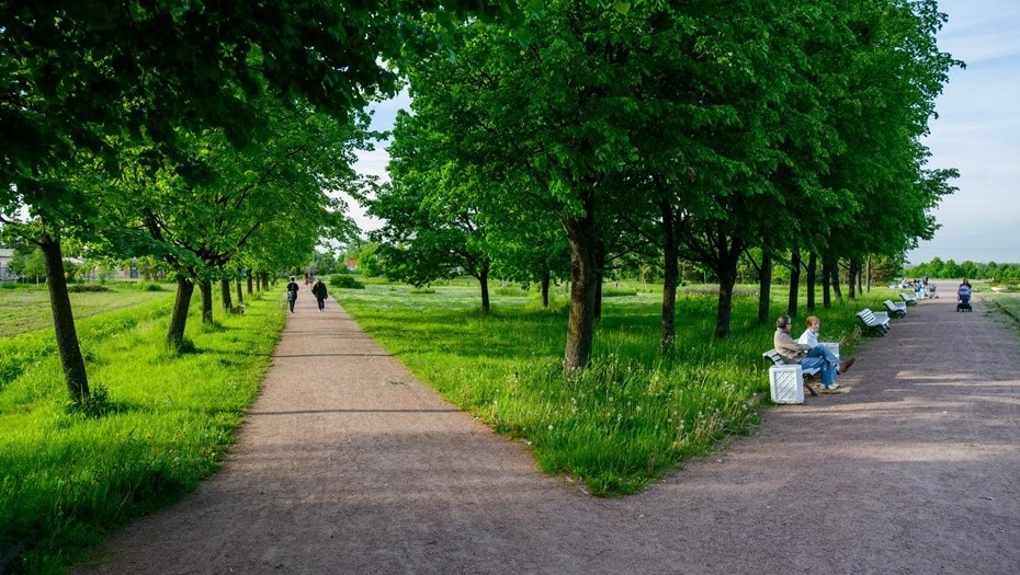    Буферный парк в Пушкине. Автор фото: Ермохин Сергей