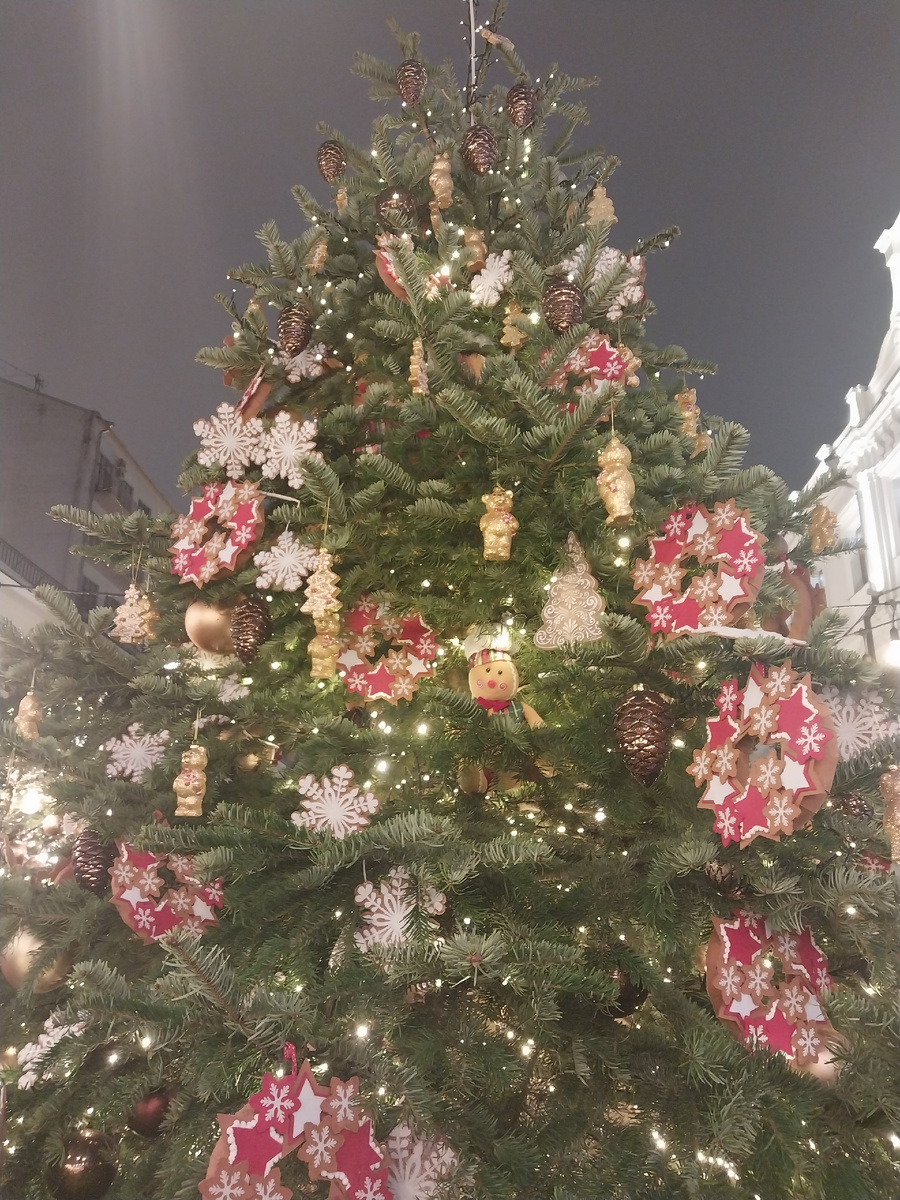 Ёлка у Пряничной. Фото автора