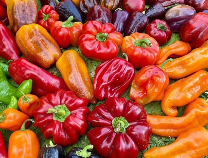 Сладкий перец: хотите быть с урожаем? Эти сорта работают всегда!