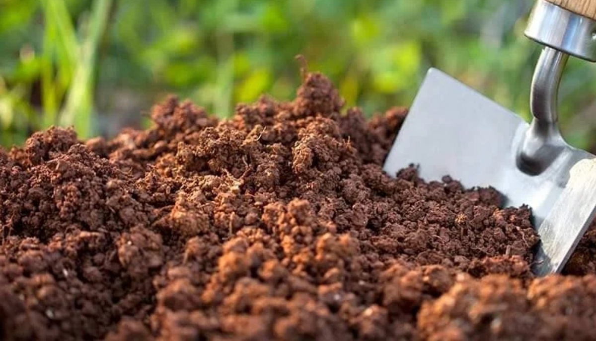 Экономика замкнутого цикла в АПК: Как превратить отходы в плодородие и создать новую отрасль в России