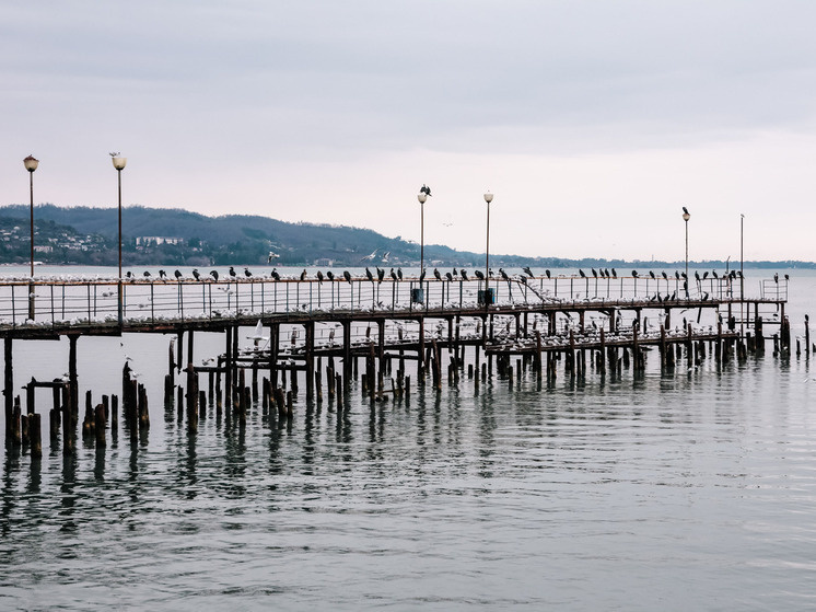     Фото: Roman Naumov/URA.RU/Global Look Press