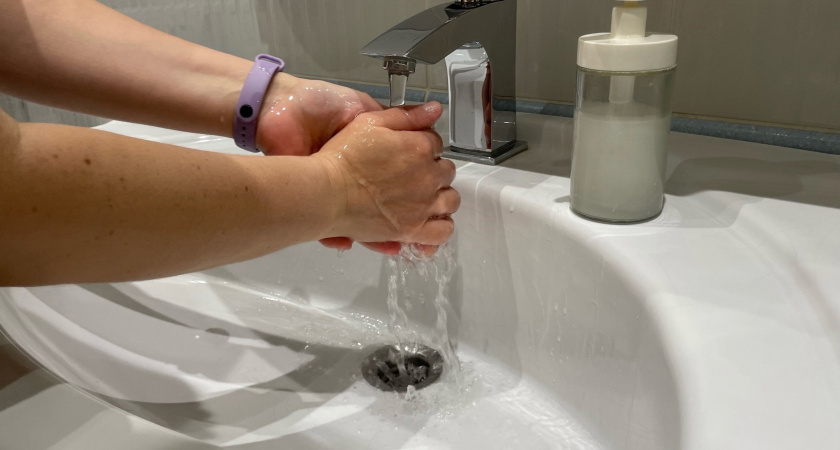    Фото: progorod43.ru