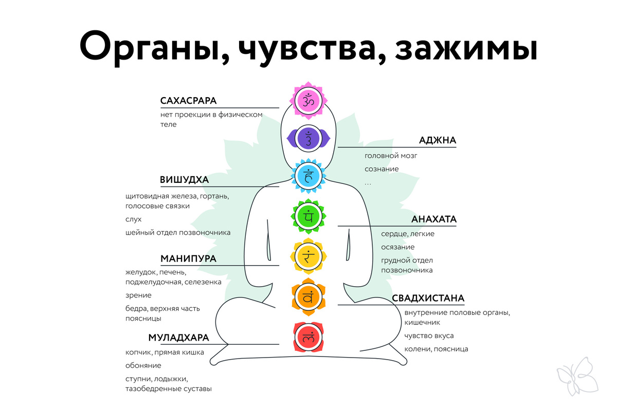 тут проекция чакры на органы физического тела, 5 чувств по чакрам и зажимы согласно чакр, например, если у вас проблемы с коленями — это указание на блокировку в свадхистане
