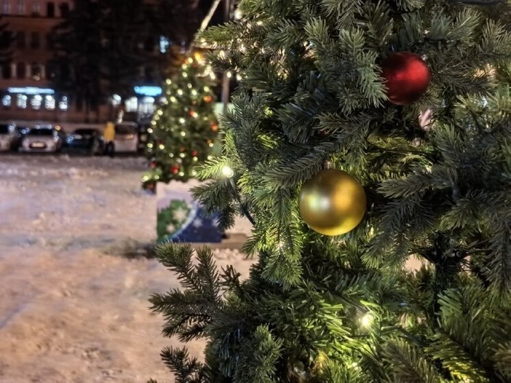     Полицейский Дед Мороз поздравил с Новым годом семьи Хабаровского края / Кирилл Старков