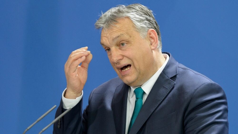    Фото: photocosmos1/Shutterstock/Fotodom