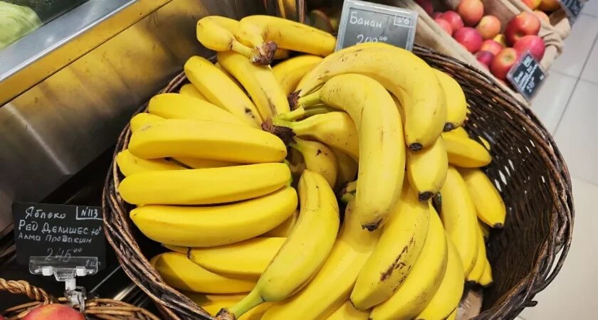    Фото usolie.info