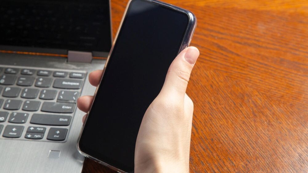    Фото: Potashev Aleksandr/Shutterstock/Fotodom