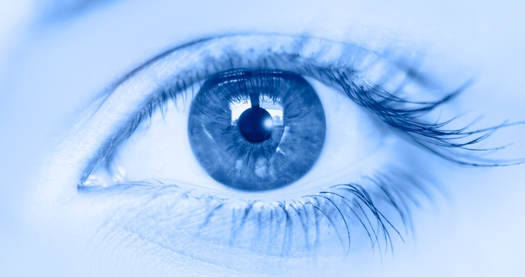 669. Про глаза и зрение.