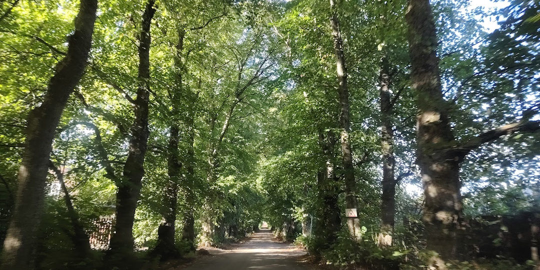 Ландышевка. Усадьба Нобиля Ала Кирьола