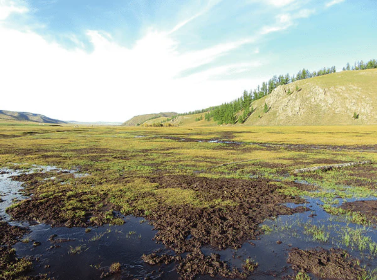 торф высокогорья