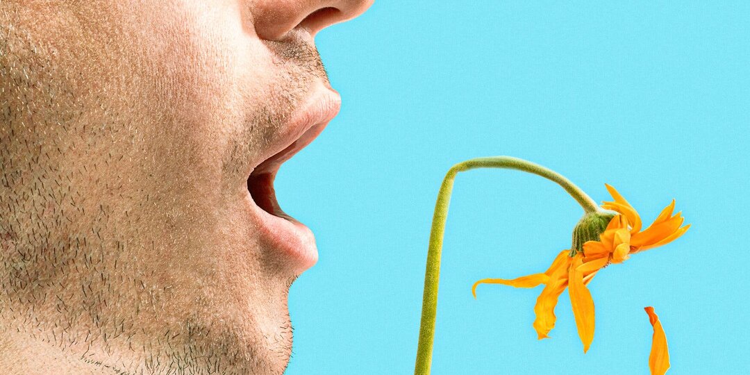 Горечь во рту по утрам: какой орган подаёт сигнал