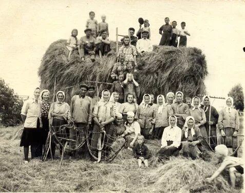 Взято из открытых источников интернета Яндекс.