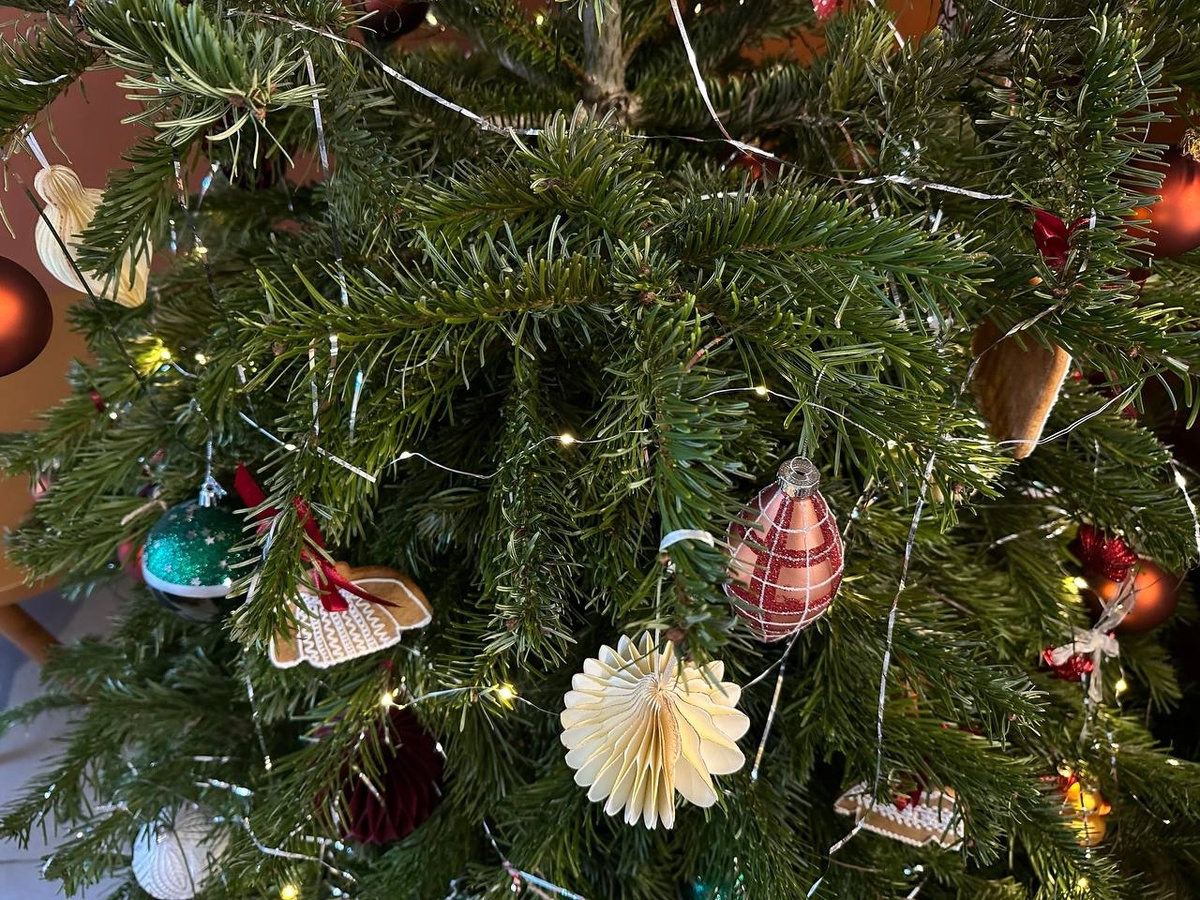     Фото: "Бриф24"