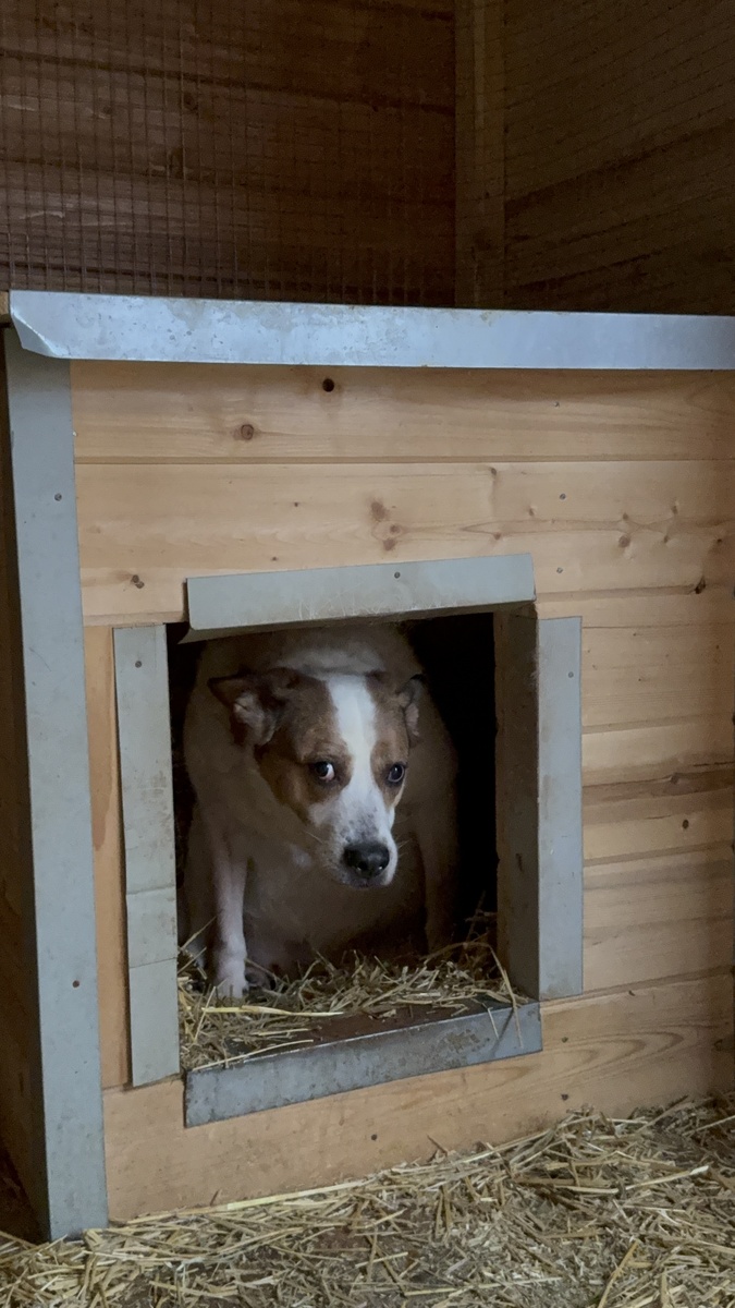 Санёчек♥️