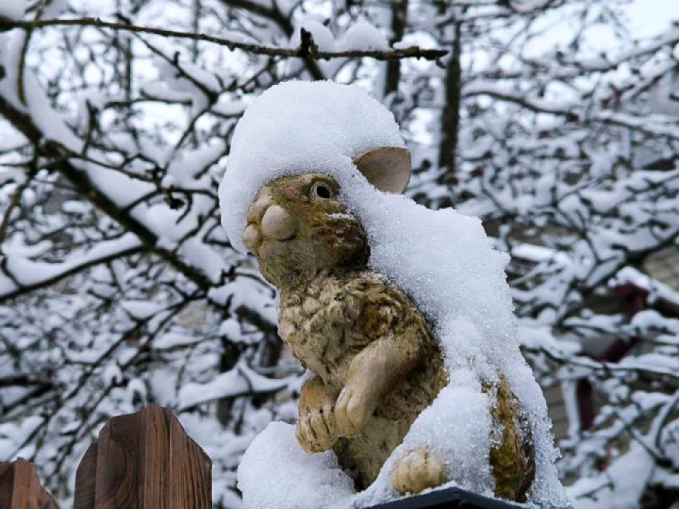    Фото: REGIONS/Роман Малышенко