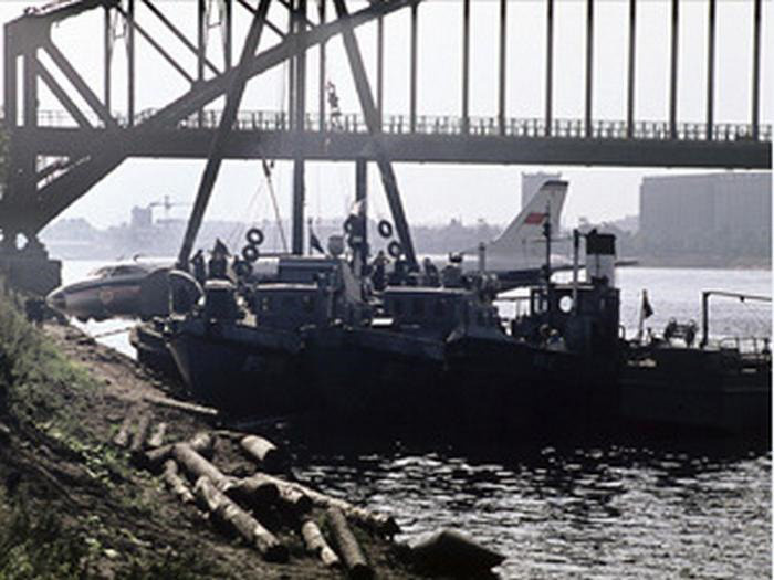 Изображение взято из Интернета.