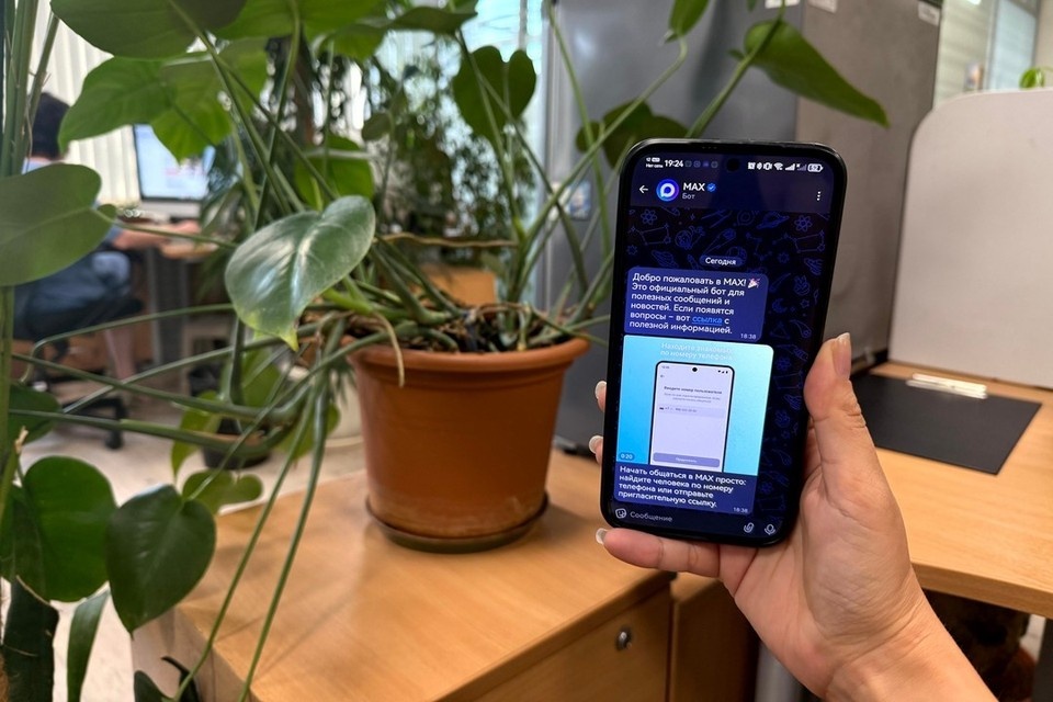    В мессенджере MAX запустили «Социальный навигатор НСО». Мария Ворнакова