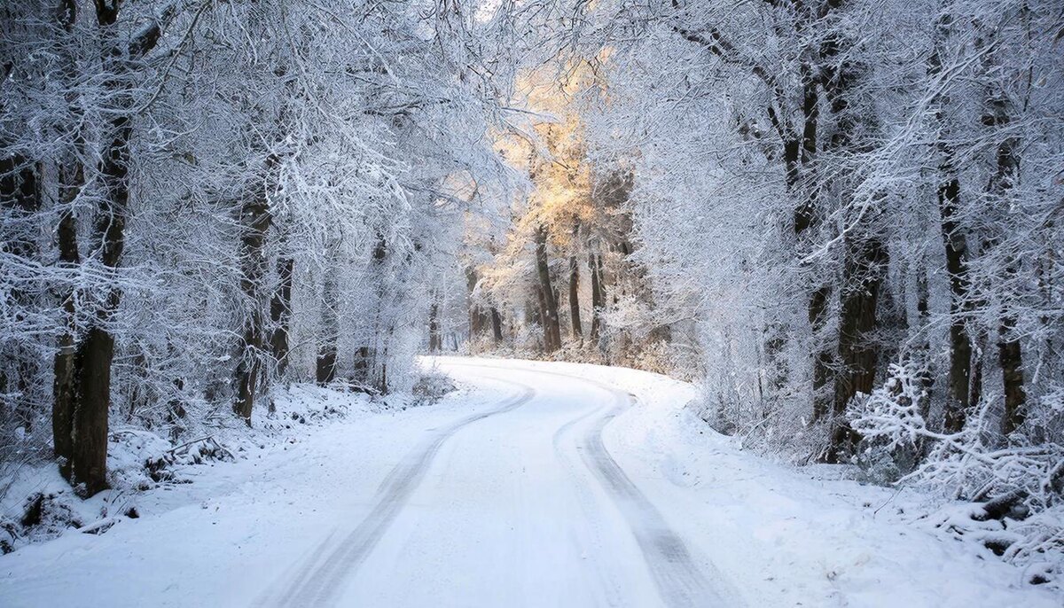 День гармонии, баланса и порядка.