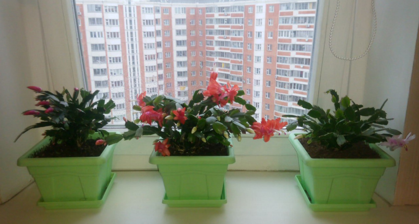    Фото из архива редакции