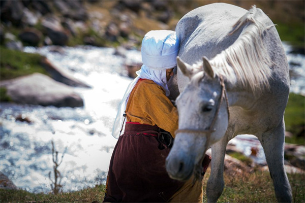 Айран и всё о нём