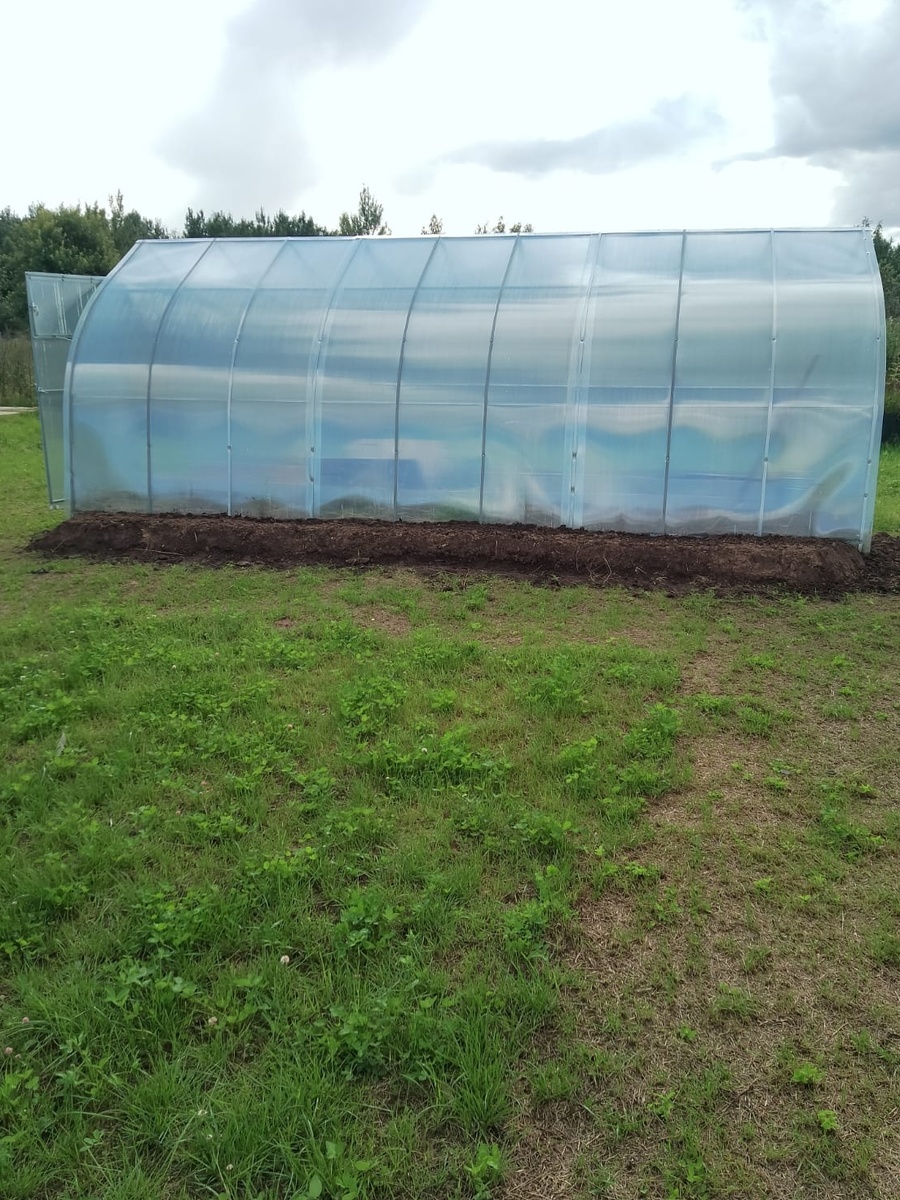 Теплица на территории нашего дома. 